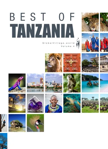 Cover of Best of Tanzania, Volume 4
